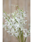 Elegant White Cymbidium Orchid Spray | Fresh Floral Beauty