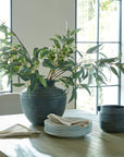 Grey Ceramic Pot for Indoor and Outdoor Styling