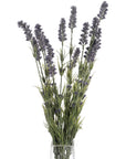 Lifelike purple lavender floral arrangement with 12 realistic stems, perfect for Provence-inspired home decor by Sostter at brixbailey.com