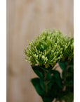 Lush Green Faux Protea Stem