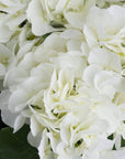 Creamy white lifelike hydrangea bouquet, ultra-realistic artificial flowers with natural tonal variations, 54cm tall by sostter at brixbailey.com