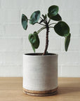 Handmade ceramic planter - Eggshell white