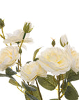 Soft White Cottage Rose Stem