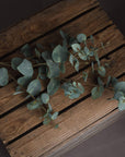 Lifelike variegated faux eucalyptus stem in sage green, handcrafted with realistic texture for home decor. by sostter at brixbailey.com