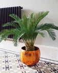 Palm Tree Artificial Cycas 80cm-4