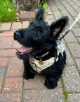 Rugged Rover™ Harness - Bee-utiful Summer
