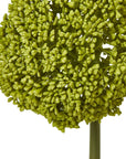 Fresh Green Allium Stem | Elegant Floral Decor