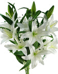 Pack of 6 x Artificial Flowers Large White Lily Stem - 3 Flowers 100cm-0