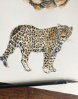 Jaguar Personalised Watercolour Fine Art Print