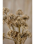 Brown Allium Faux Flower Stem