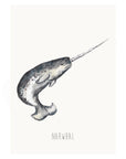 Narwhal art print from original watercolour artwork