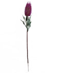 Pack of 6 x 75cm Banksia Menziesii Pink Flower Stem Artificial-3