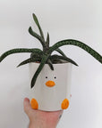 Duck Plant Pot (by Haus of Honk)