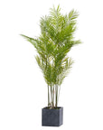 Large Paradise Palm Faux Indoor Plant for Tropical Style