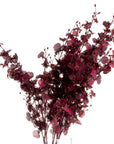 Lifelike burgundy silk orchid spray, 91cm tall with realistic petals, perfect for modern or traditional home decor by sostter at brixbailey.com