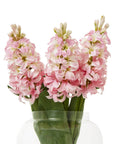 Luxury Pink Hyacinth Stem | Elegant Floral Decor