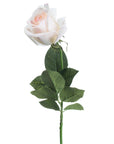 Soft Blush Tea Rose Everlasting Bloom