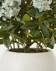 Lush Green Hydrangea Potted Plant