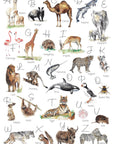 Animal Alphabet Children's Wall Print