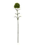 Lush Dark Green Dianthus Stem | Fresh Floral Elegance