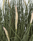 Tall Potted Fountain Grass Plant