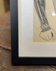 Victorian Anatomy Engraving – Antique Medical Print S