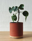 Handmade ceramic planter - Terracotta