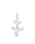 Aeroplane Silver Charm