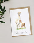 Alpaca new baby greetings card
