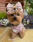 Pastal Petals Dog Cooling Vest