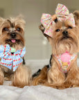Eden's Orchard - Dog Collar + ID Tag Holder