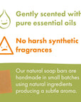 Trio Gift Set - Orange & Grapefruit, Lemongrass, Tea Tree & Turmeric