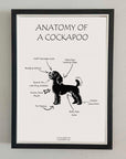 Anatomy of a Cockapoo Print