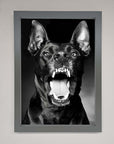 Angry Doberman Dog Framed Wall Art