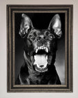 Angry Doberman Dog Framed Wall Art