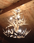 Authentic Whitetail Deer Two Tier Chandelier