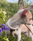 Tiny Trails Step In Soft Touch Suede Effect Faux Fur Lined Puppy and Small Dog Harness Mocha