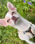 Tiny Trails Step In Soft Touch Suede Effect Faux Fur Lined Puppy and Small Dog Harness Mocha