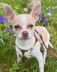 Tiny Trails Step In Soft Touch Suede Effect Faux Fur Lined Puppy and Small Dog Harness Mocha