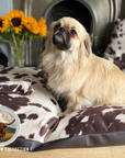 Luxury Faux Cowhide Dog Daybed with Removable Cover – Handmade in Devon
