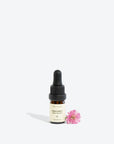 Citrus Bergamia Essential Oil – Uplift & Relax Naturally by Smells Like Spells at www.brixbailey.com