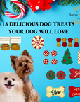 Christmas Themed Dog Treats Gift Box