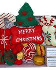 Christmas Themed Dog Treats Gift Box