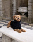 Black British Wool Dog Jumper