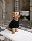 Black British Wool Dog Jumper