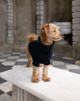 Black British Wool Dog Jumper