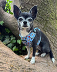 Blue Chihuahua Print Exclusive Small Dog Harness by My Chi and Me SALE