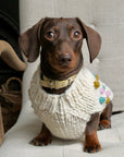 Handknitted Bobble Dog Jumper in Cream