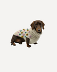 Handknitted Bobble Dog Jumper in Cream