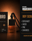 Boy Scout Car Diffuser